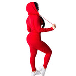 Autumn Casual Tracksuit Two Piece Set Women's Suit